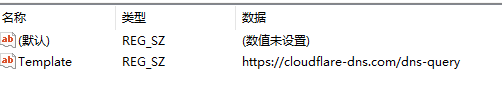 图片[3]-Windows10/11无法开启DNS加密选择-Rain's Blog