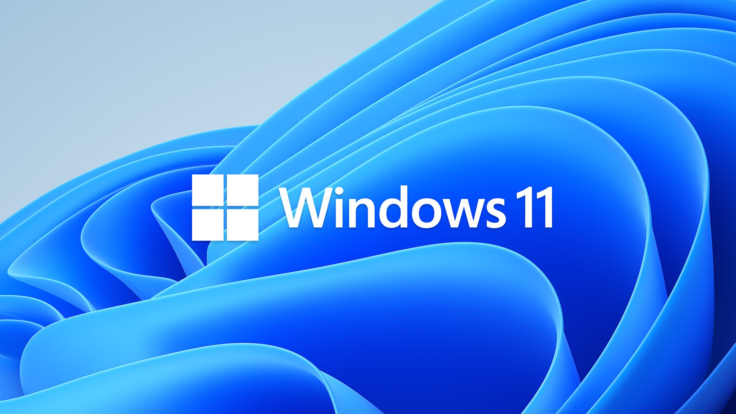 Windows11通过组策略禁用AMD显卡自动更新-Rain's Blog